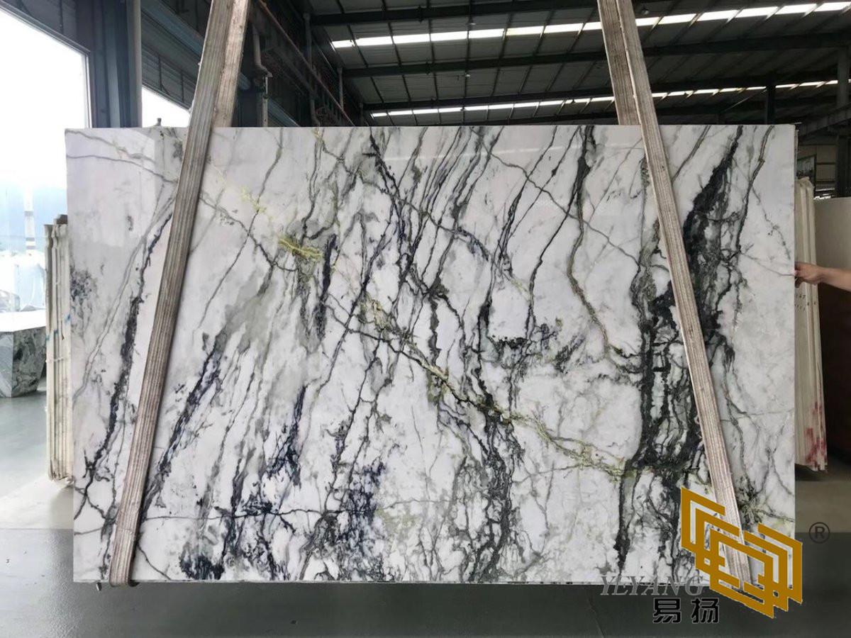 Orchid Onyx 02.jpg